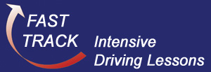 Driving Instructor Tara Logo